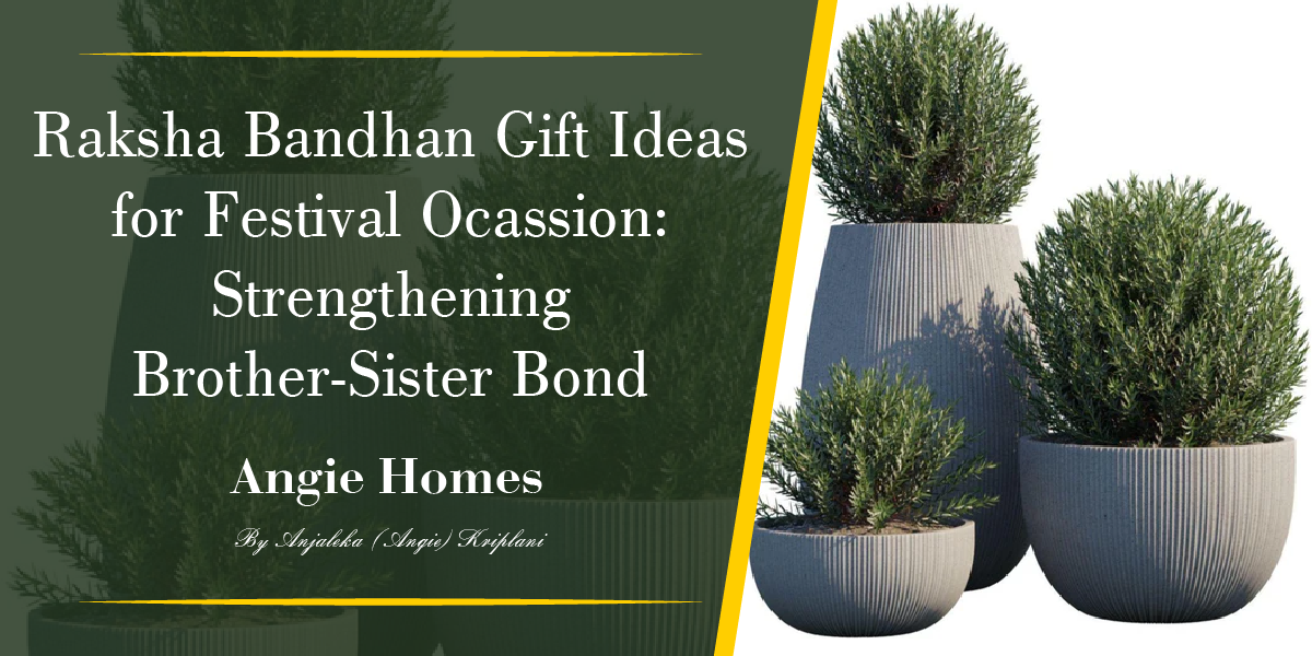 Raksha Bandhan Gift Ideas For Festival Ocassion: Strengthening Brother-Sister Bond