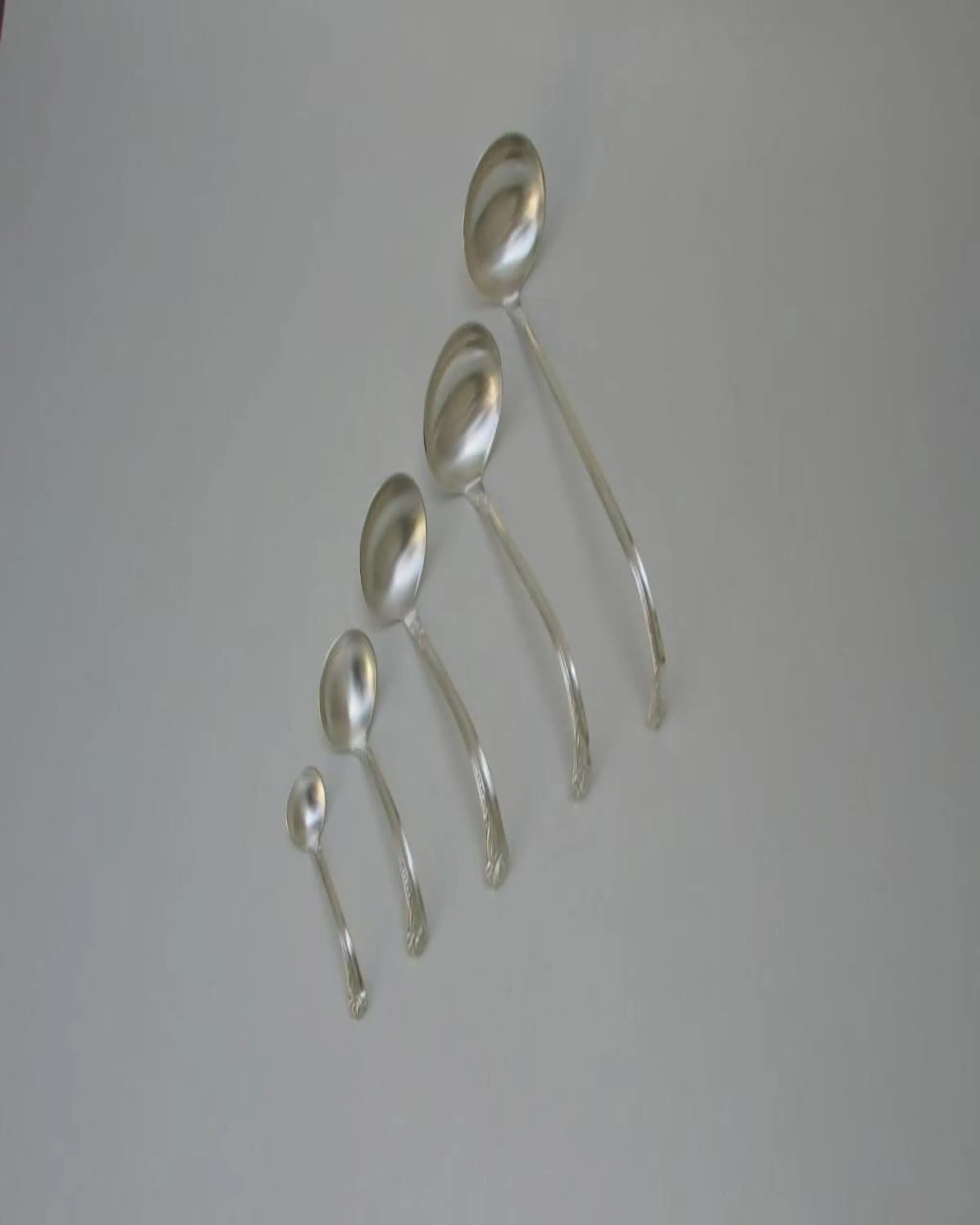 Arakan 5 Set of Silver Plated Spoon ANGIE HOMES