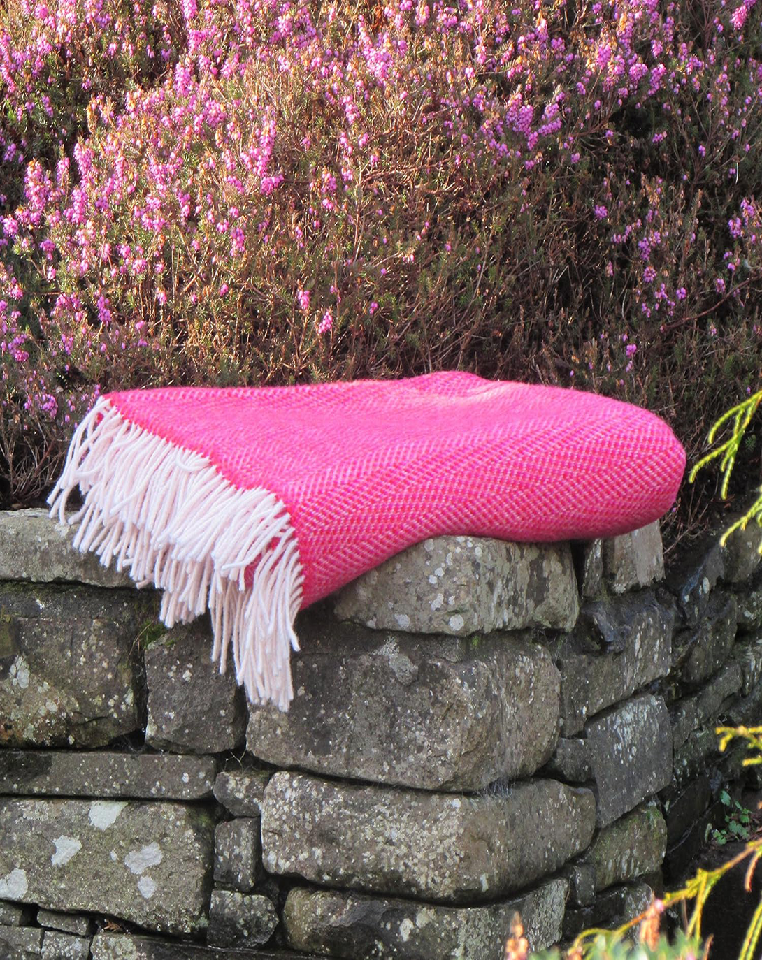 Asteria Pink Throw & Blanket