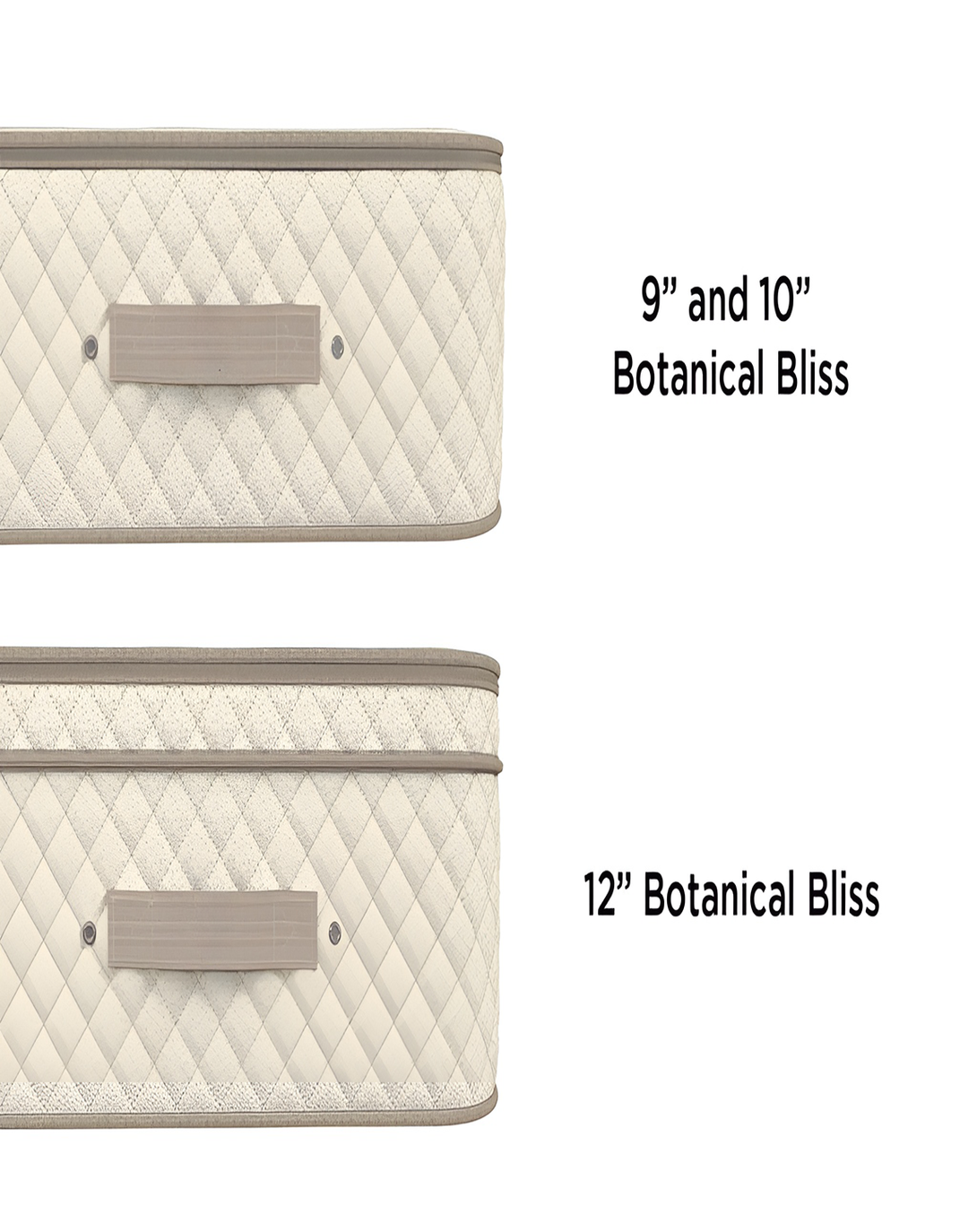 Betty White Orthopedic Mattress ANGIE HOMES