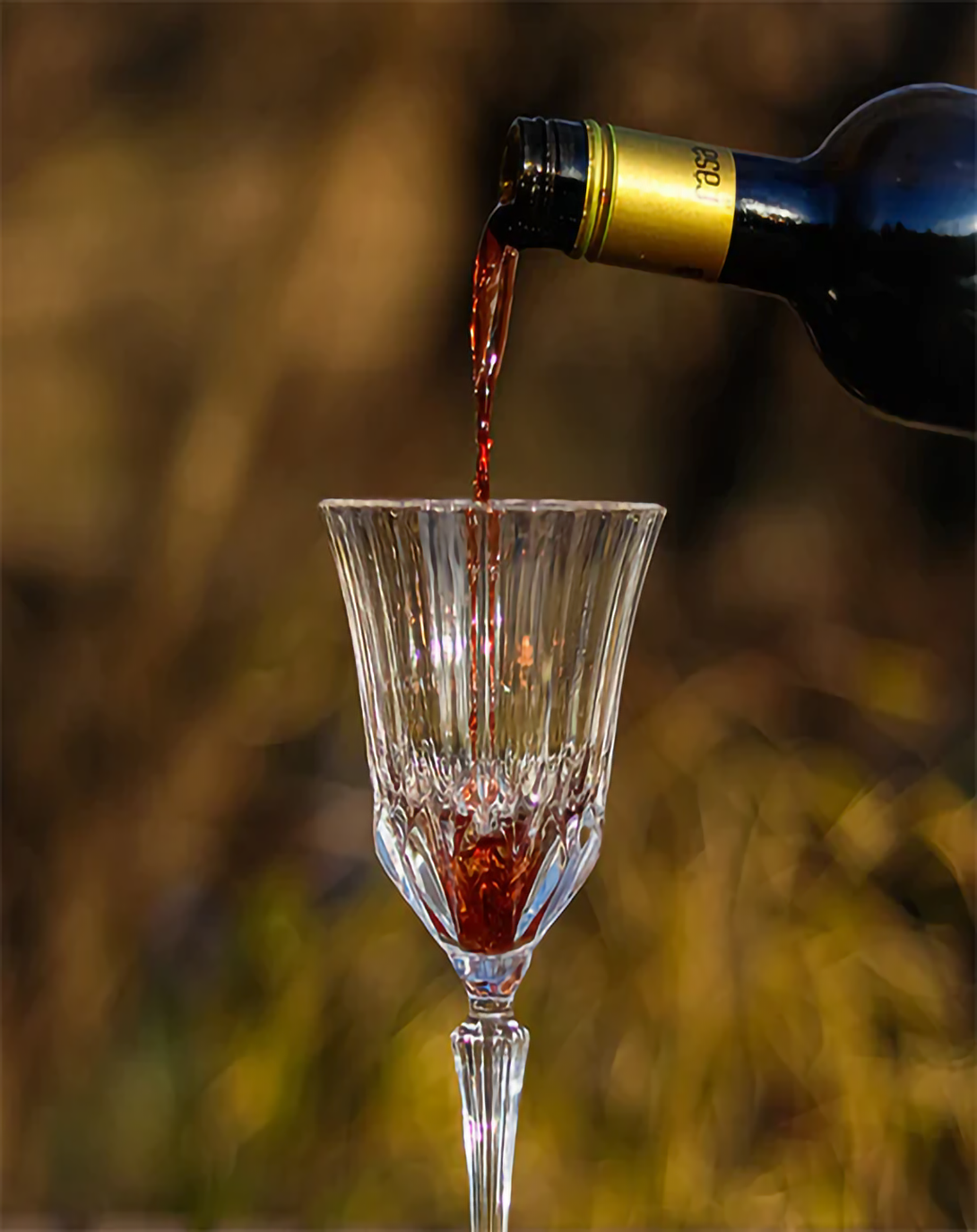 CERI FINE CUT CRYSTAL WINE & CHAMPAGNE GLASS SET ANGIE HOMES