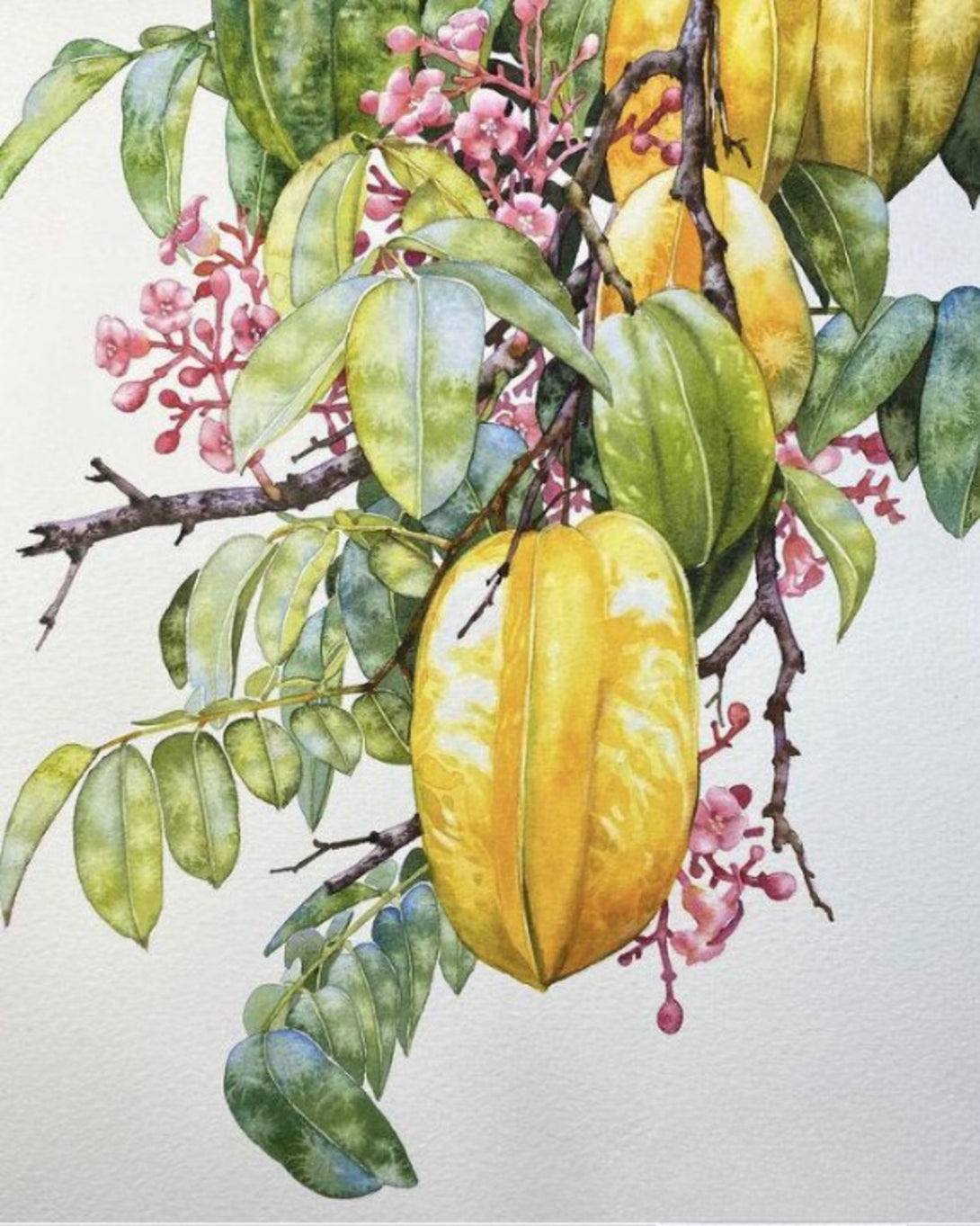 Future Masters Upcoming Artists (Copy) ANGIE HOMES