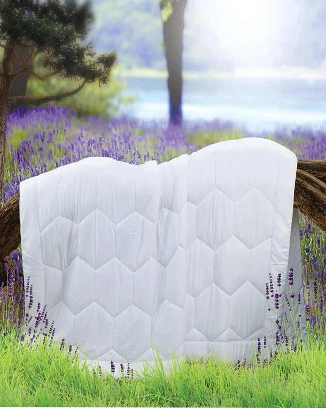 Buy Premium Quality Cotton Bed Sheets