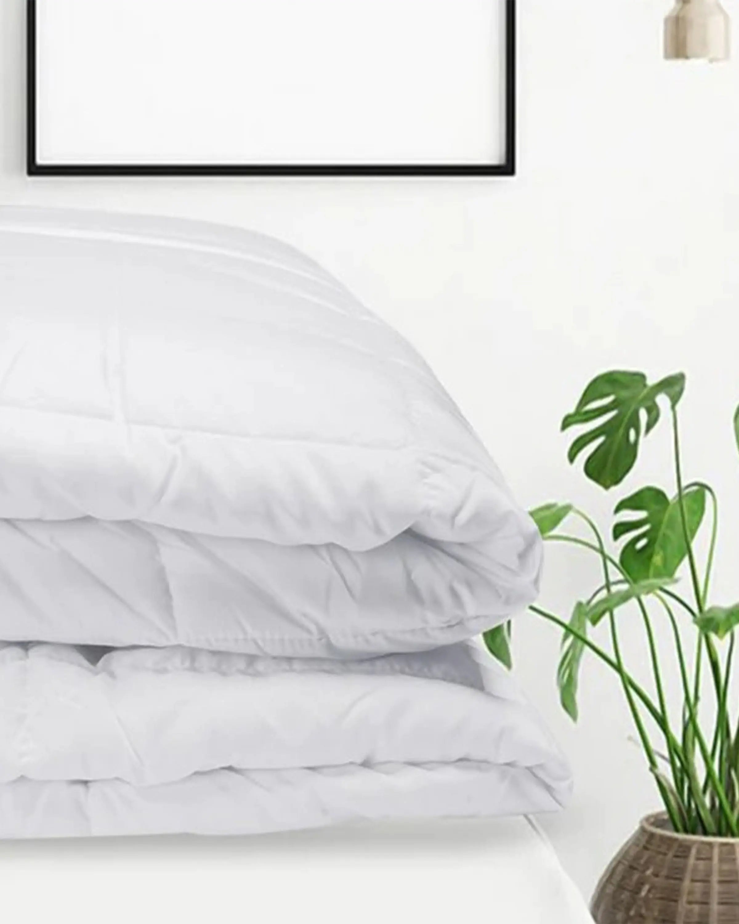 Buy Online for Premium Bed Sheets