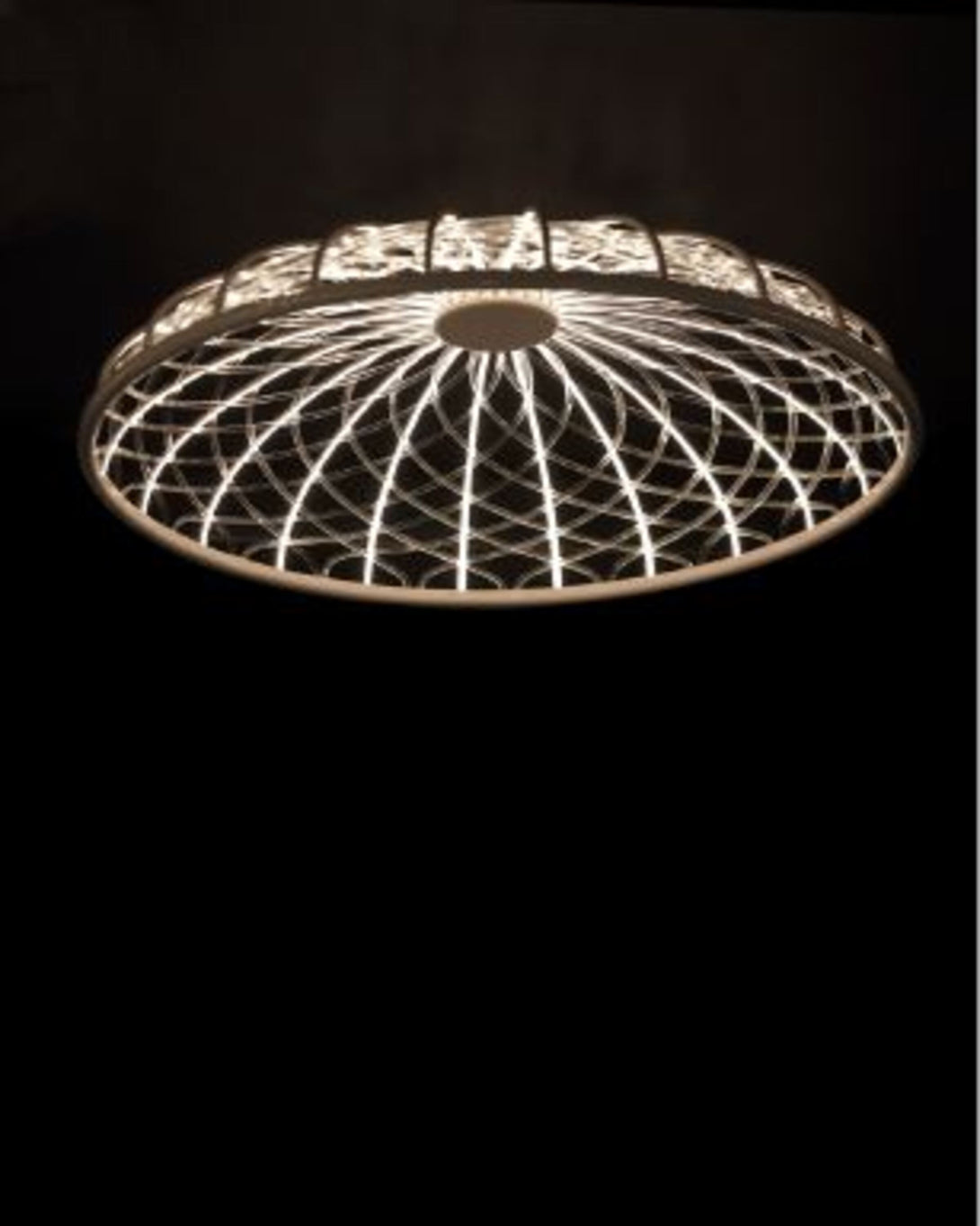 Hibiscus Wall Scones ANGIE HOMES