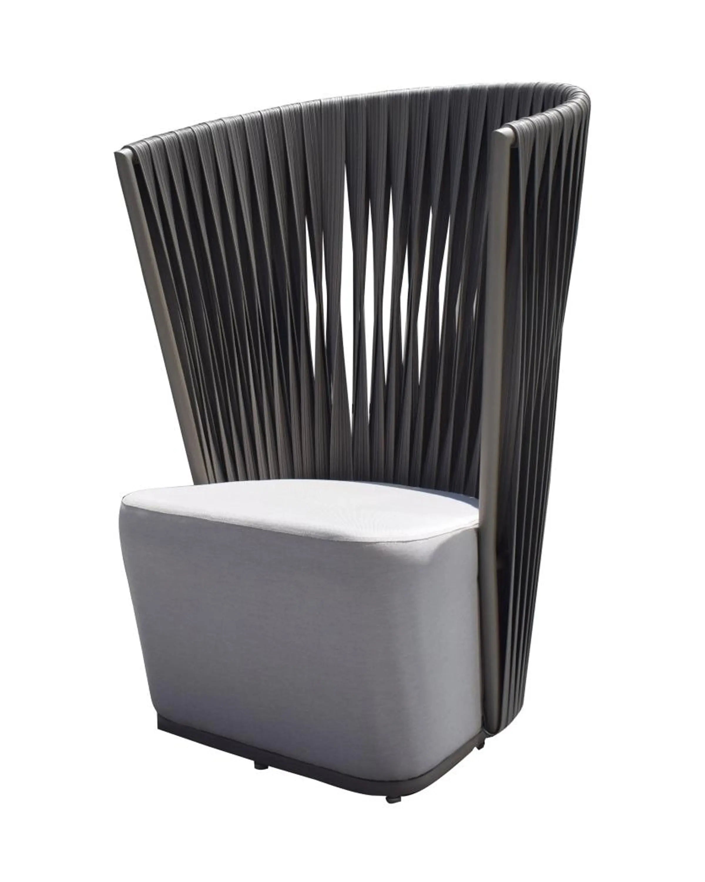 Online Modern Carbon Chairs