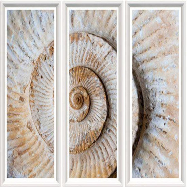 Masterstroke Lithography Designs ANGIE HOMES