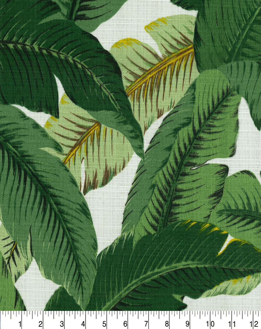 Mazari Palm Green And White Fabric