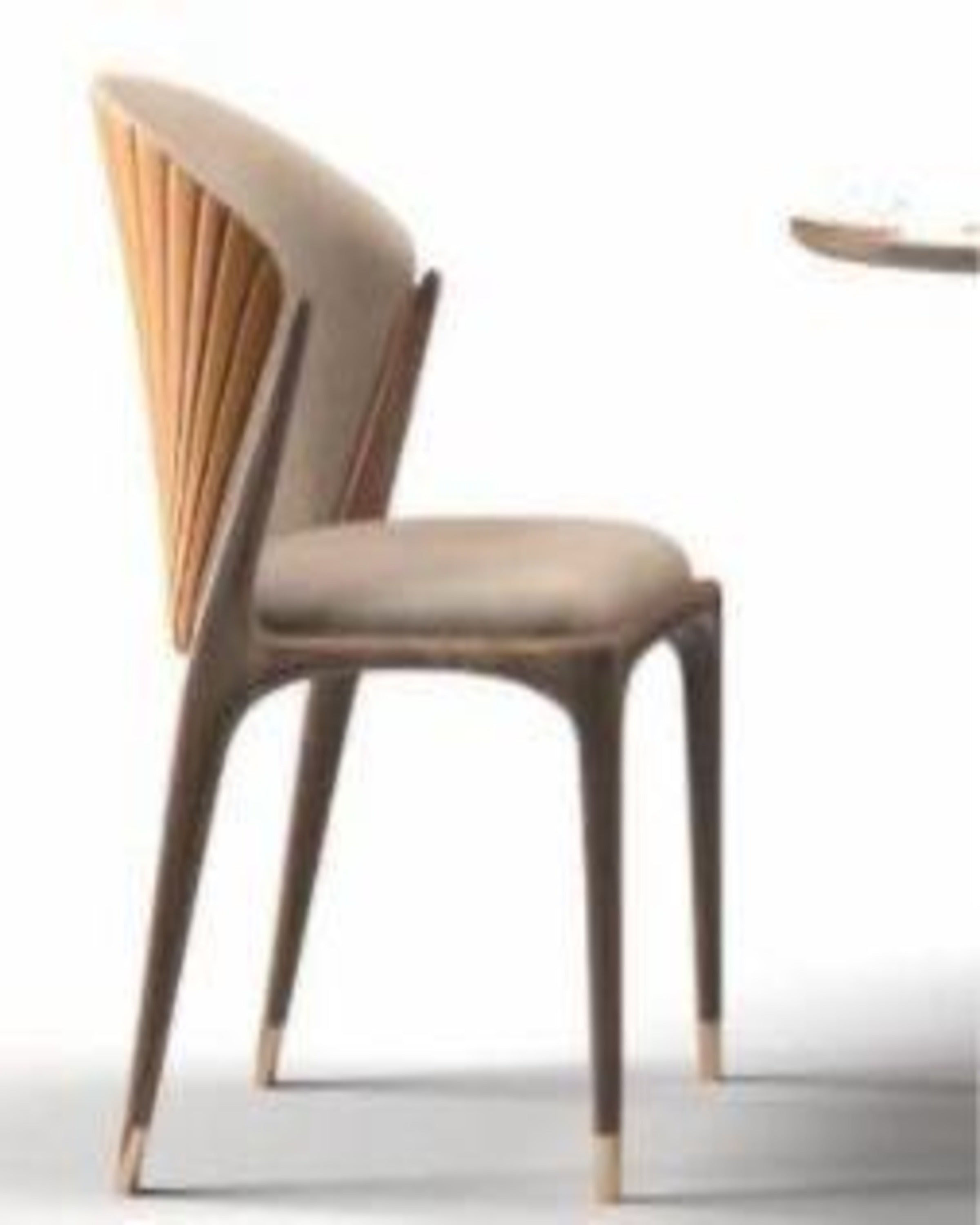 Modern Canopy Luxury Dining Chair