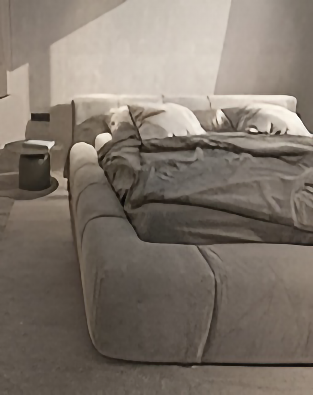 Modern Compact Storage Stylish Luxury Bed ANGIE HOMES