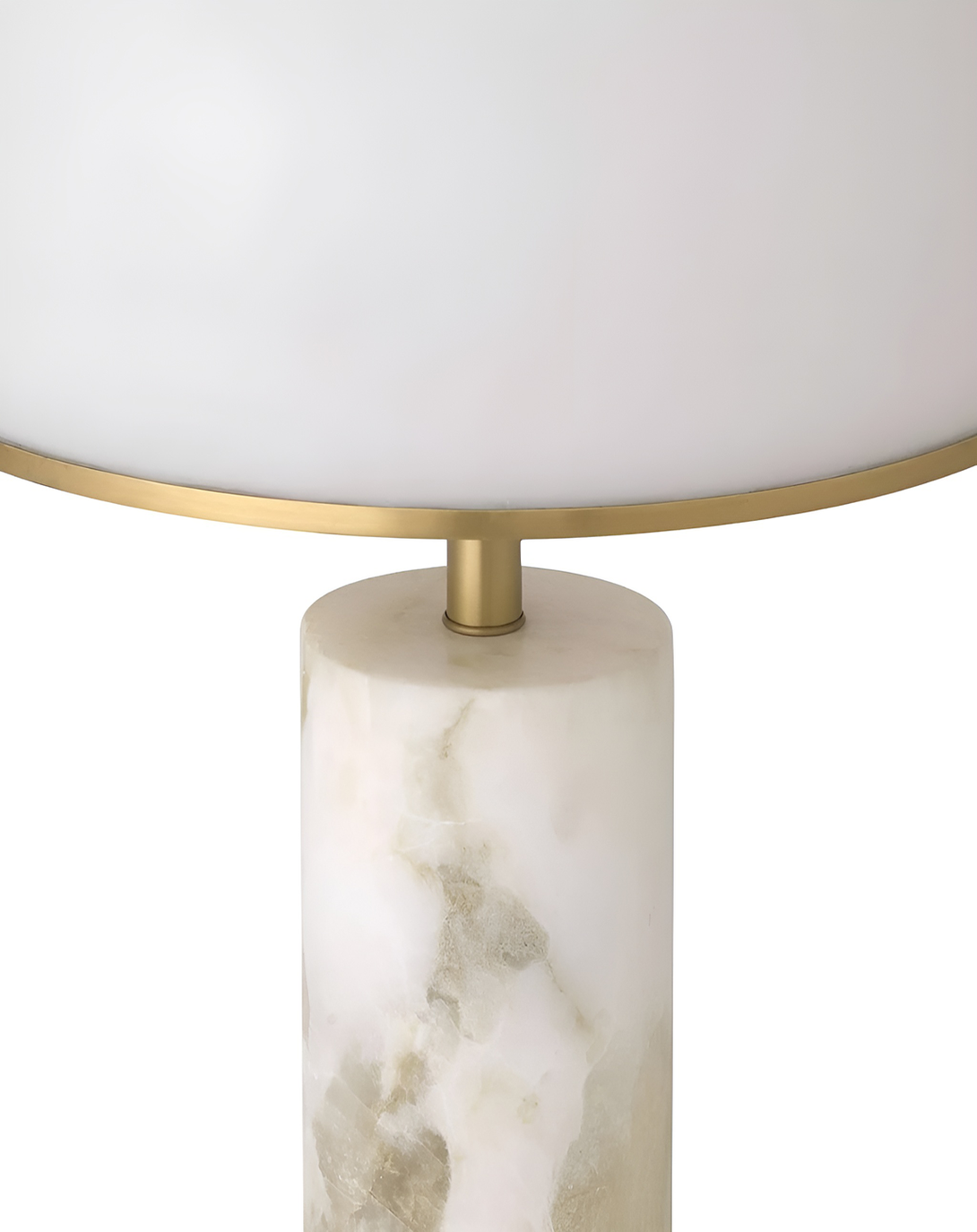 Modern Shell Luxury Table Lamps