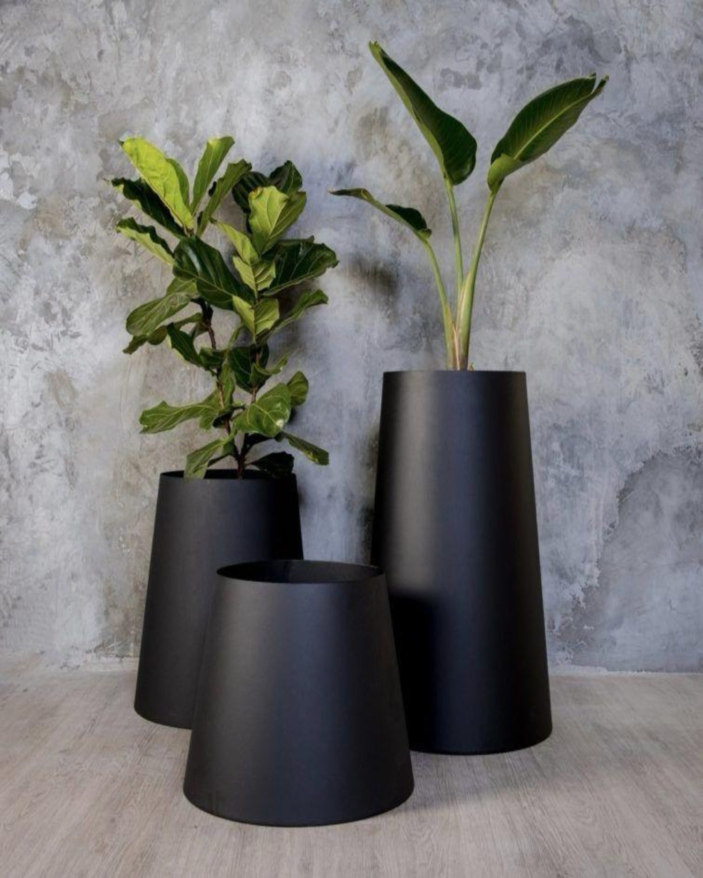 RusticRoots Bamboo Planters ANGIE HOMES