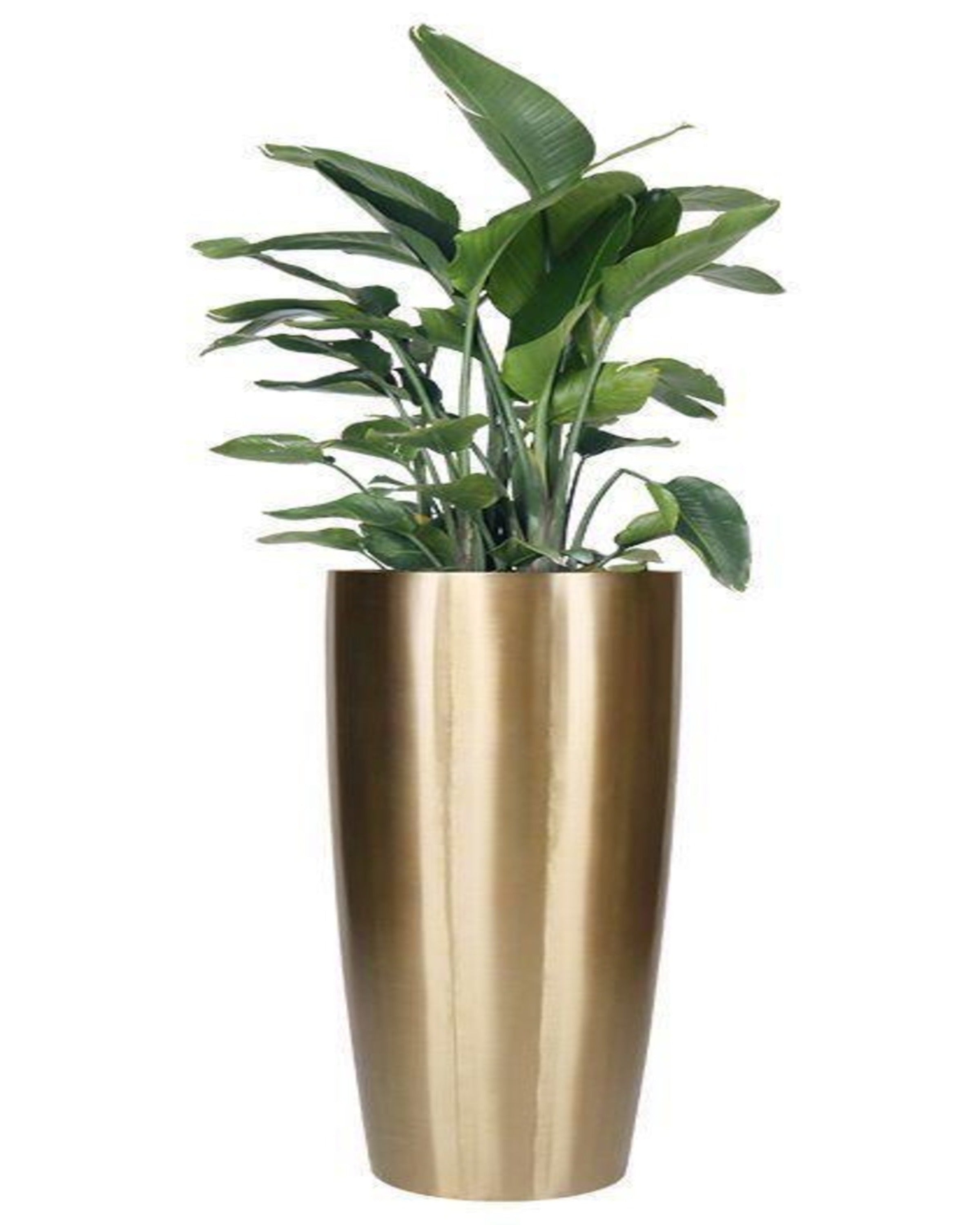 TerraLuxe Stylish Planters ANGIE HOMES