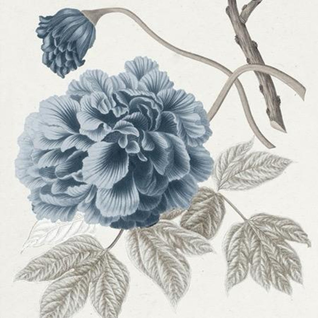 Pure Canvas Lithography (Copy) ANGIE HOMES