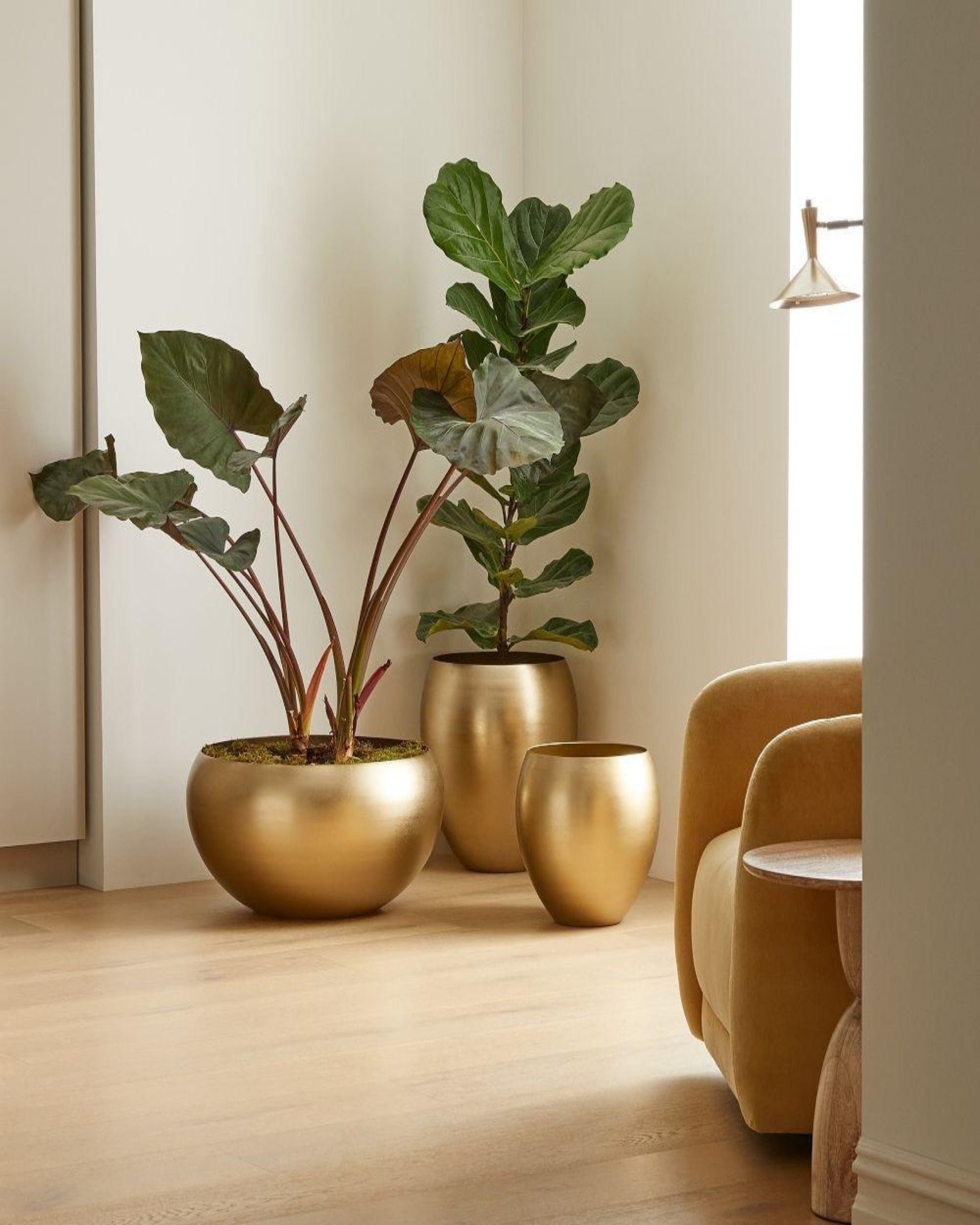 UrbanLeaf Metal Planters ANGIE HOMES