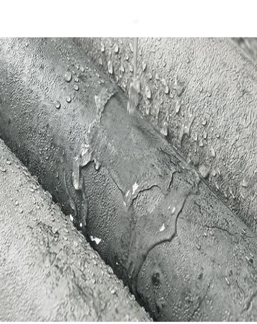 Wole Palm Green Abstract Wallpaper ANGIE HOME