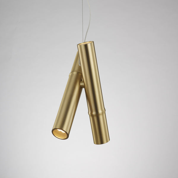 Luxury pendent  light