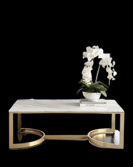 Luxury Metal Table