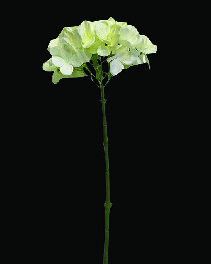 White Large Hydrangea Artificial Flower