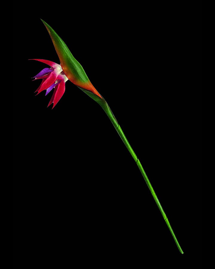 Pink Artificial Flowers Online