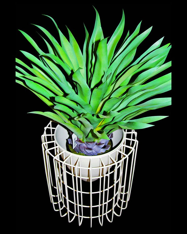 Green Flower With Planter