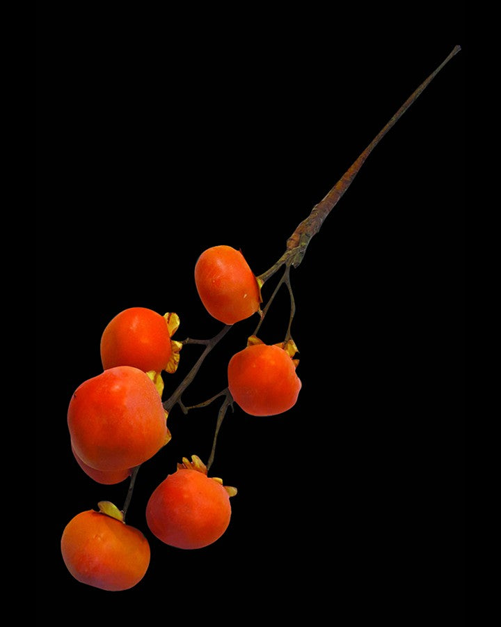 Eco-Friendly Orange Artificial Flowers