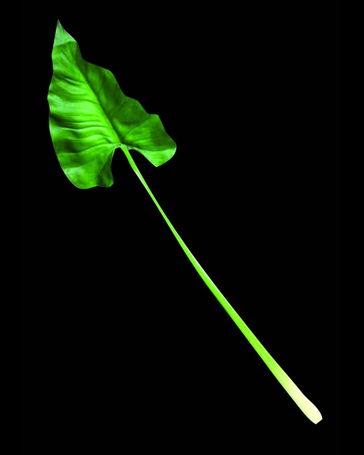 Artificial Green Leaves Plants